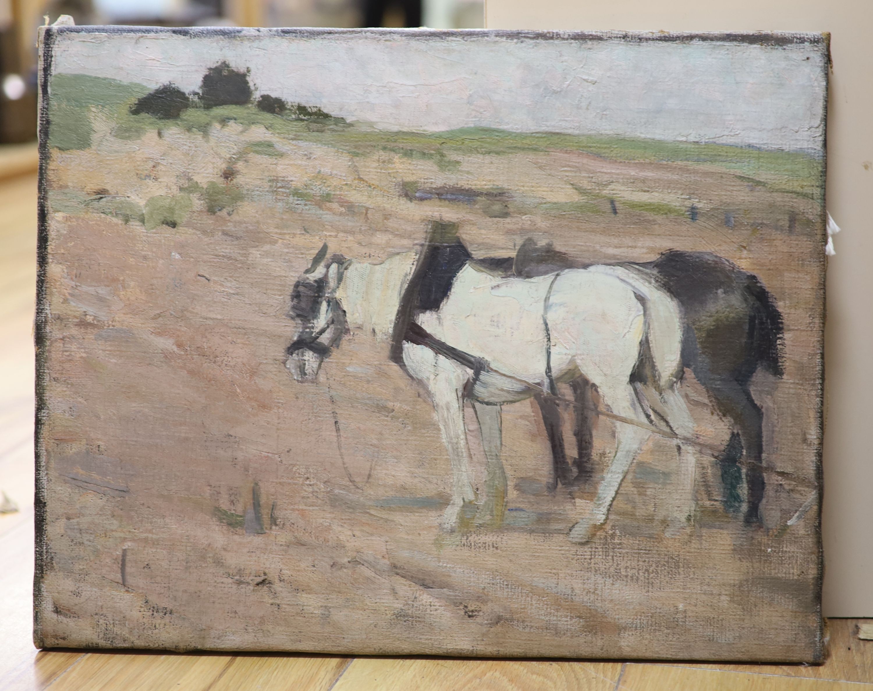 Continental School circa 1900, oil on canvas, Plough horses, 37 x 47cm. Unframed.